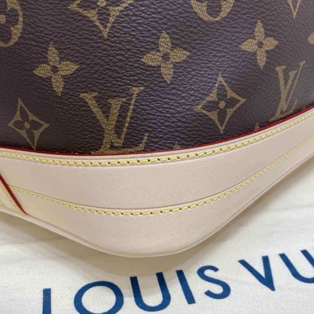 Louis Vuitton NOE Handbag Monogram M42224